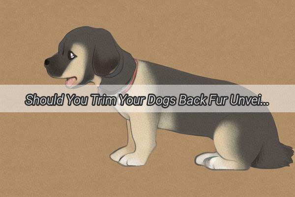 Should You Trim Your Dogs Back Fur Unveiling the Benefits and Beauty Secrets